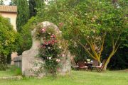 Fontanili-17ifontanili